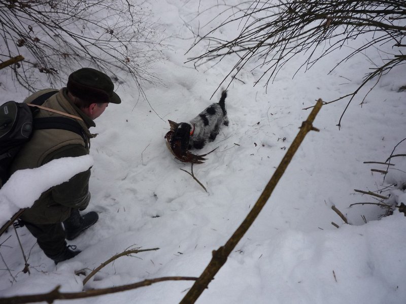 hon_konopiste (57).jpg